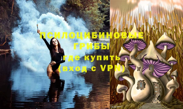 крисы Арсеньев