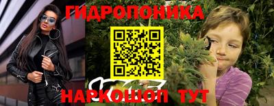 a pvp Рыбинск