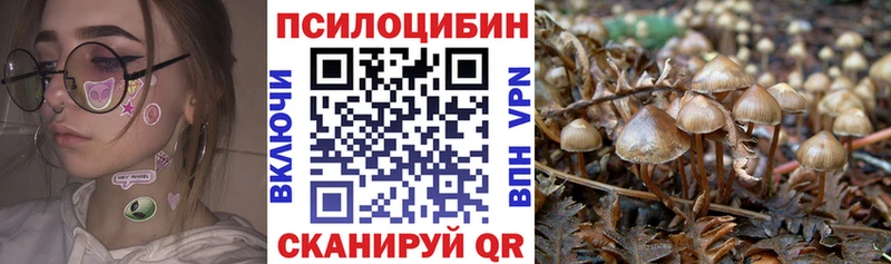 Галлюциногенные грибы Psilocybe  это клад  Балтийск 