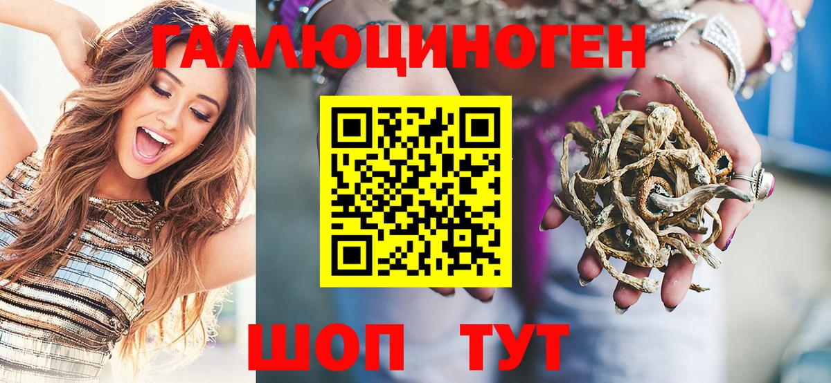 Псилоцибиновые грибы ЛСД Балтийск