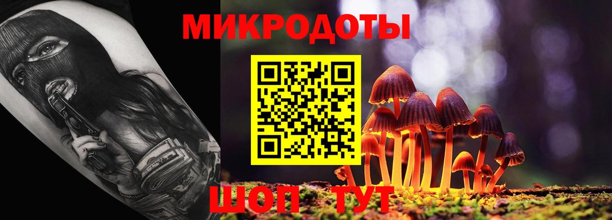 Балтийск  Галлюциногенные грибы мицелий  Вход с VPN  Галлюциногенные грибы Magic Shrooms 