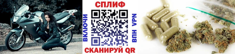 Каннабис индика  Балтийск 